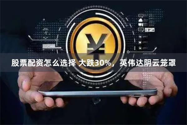 股票配资怎么选择 大跌30%，英伟达阴云笼罩