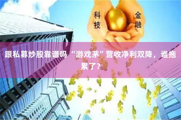 跟私募炒股靠谱吗 “游戏茅”营收净利双降，谁拖累了？