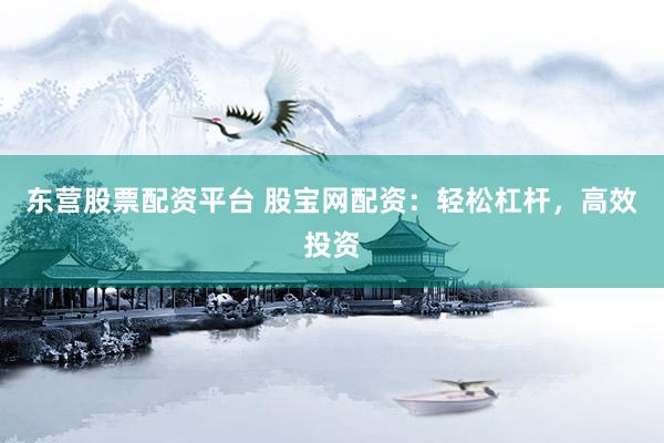 东营股票配资平台 股宝网配资：轻松杠杆，高效投资