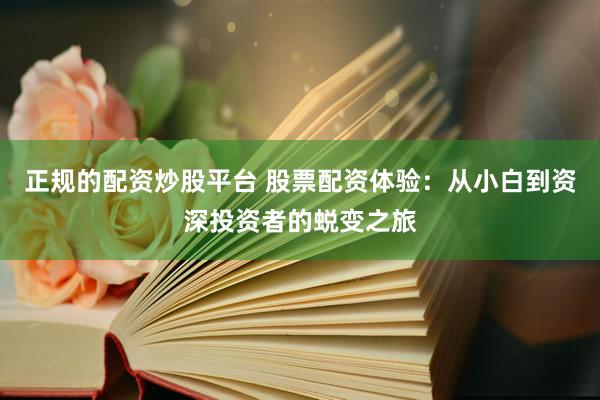 正规的配资炒股平台 股票配资体验：从小白到资深投资者的蜕变之旅